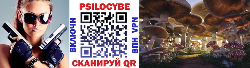 Псилоцибиновые грибы Psilocybine cubensis  сколько стоит  гидра ССЫЛКА  Чехов 